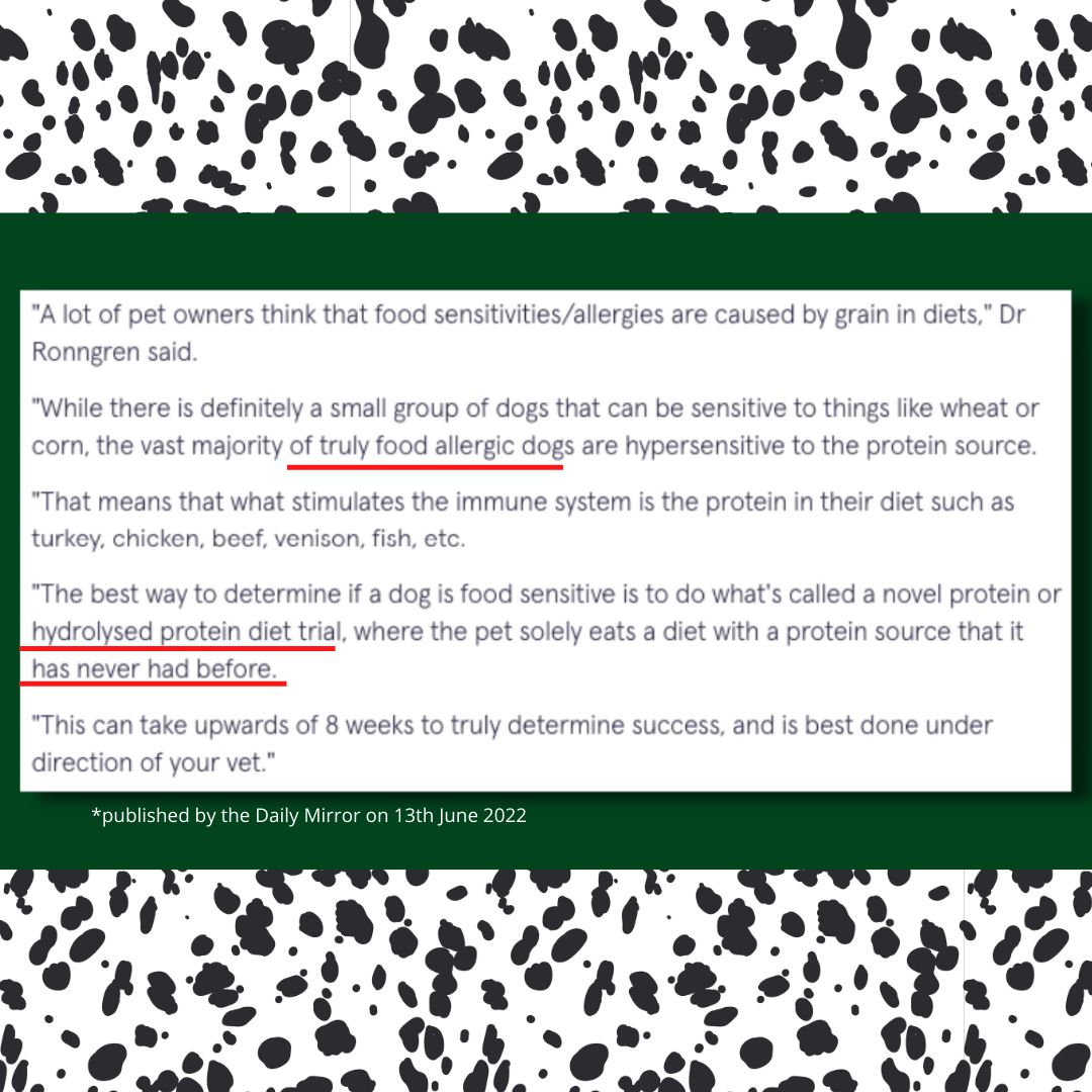 Why The Media is Lying To You About Dog Food.