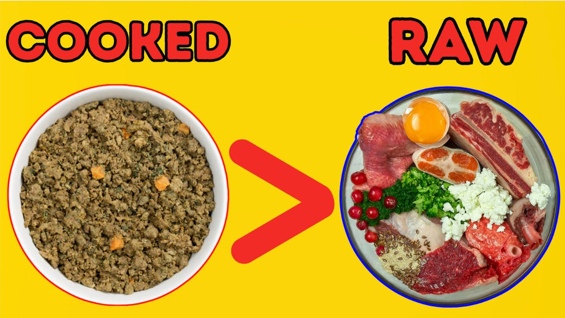 IS COOKED DOG FOOD BETTER THAN RAW?