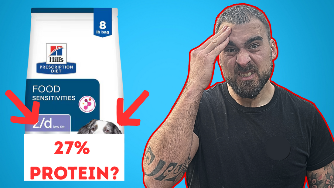 All Protein Is Not Created Equal In Dog Food