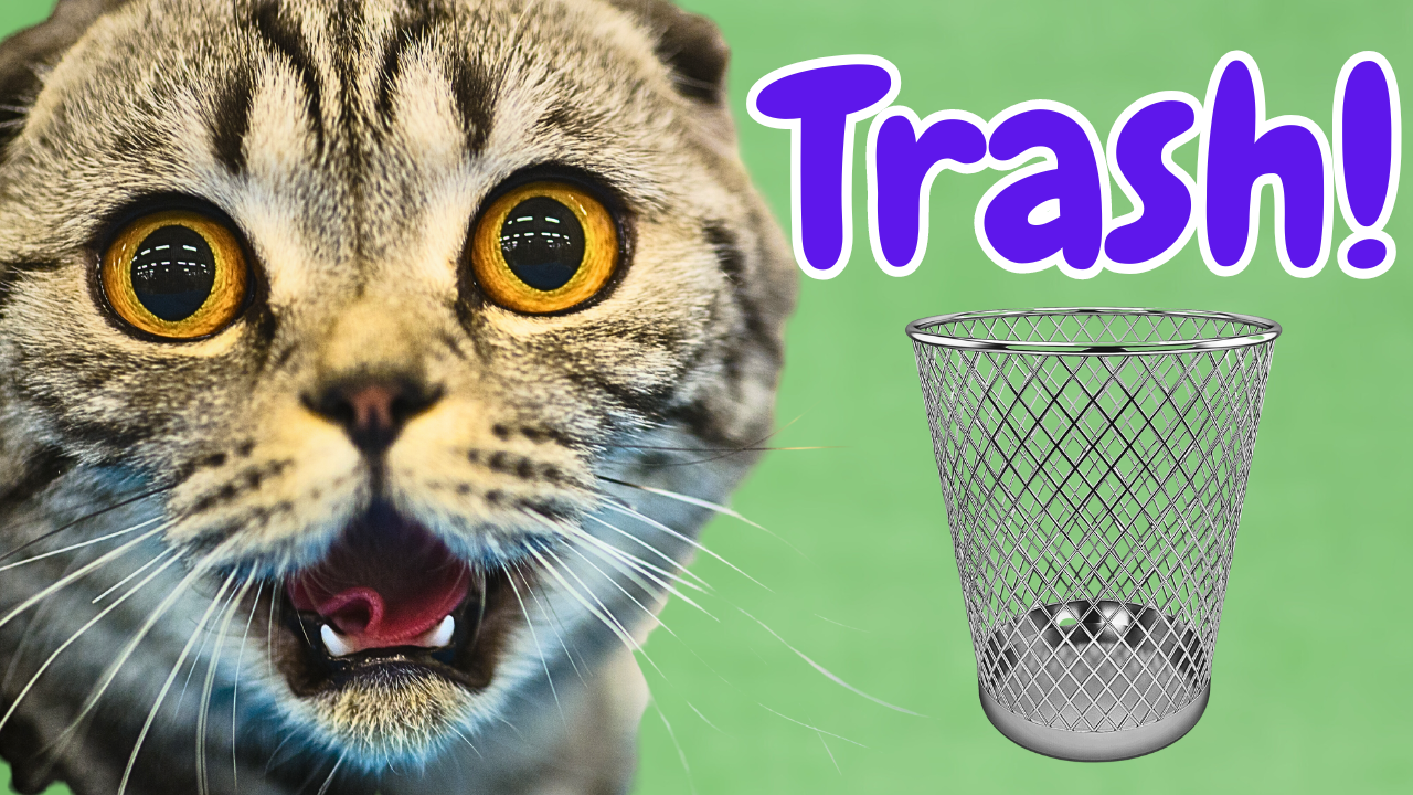 TOP 10 Worst Cat Foods Ranked The Pet Quarter