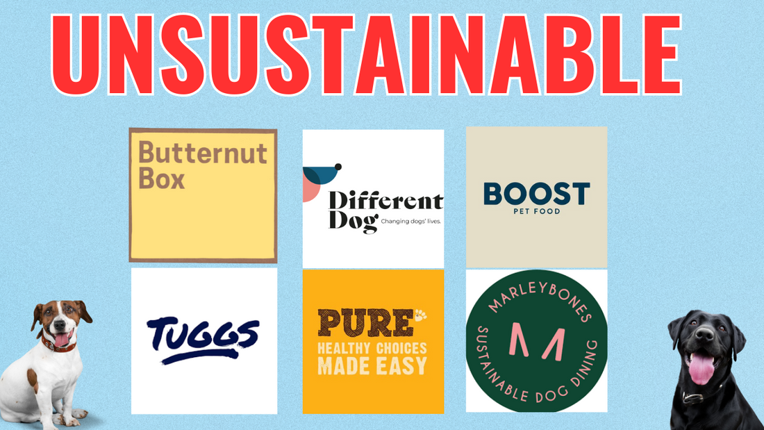 Butternut Box & The Myth of Profitable Dog Food Delivery