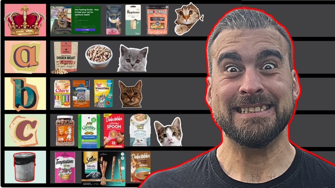 Cat Nutritionist Ranks The Best Cat Treats