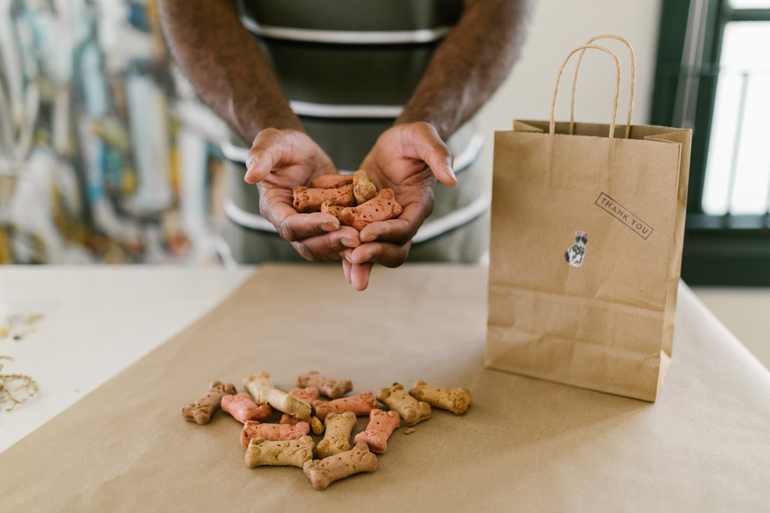 All About Cold Pressed Dog Food. Is It Really Better?