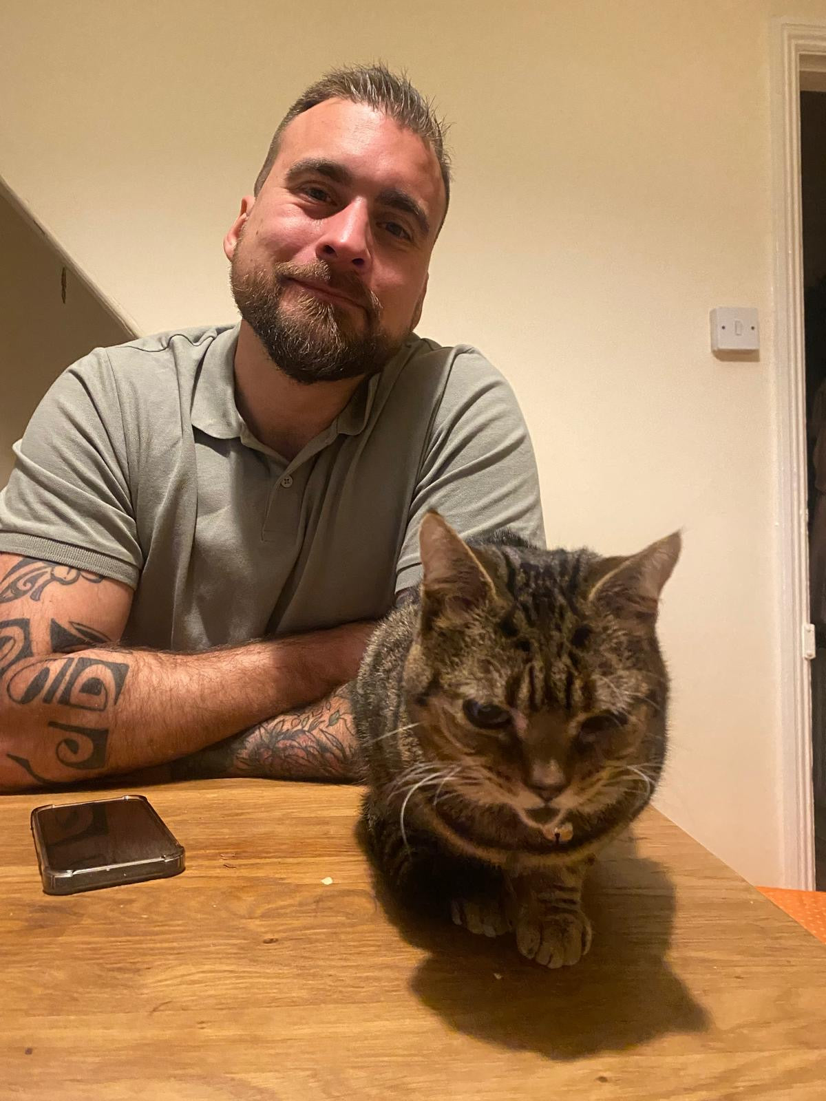 Best Cat Foods – Unbiased & Independent Guide