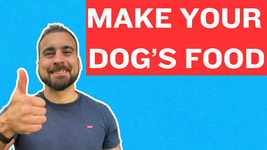 Learn How To Make Your Own Dog Food! (YOU NEED TO OPT IN)