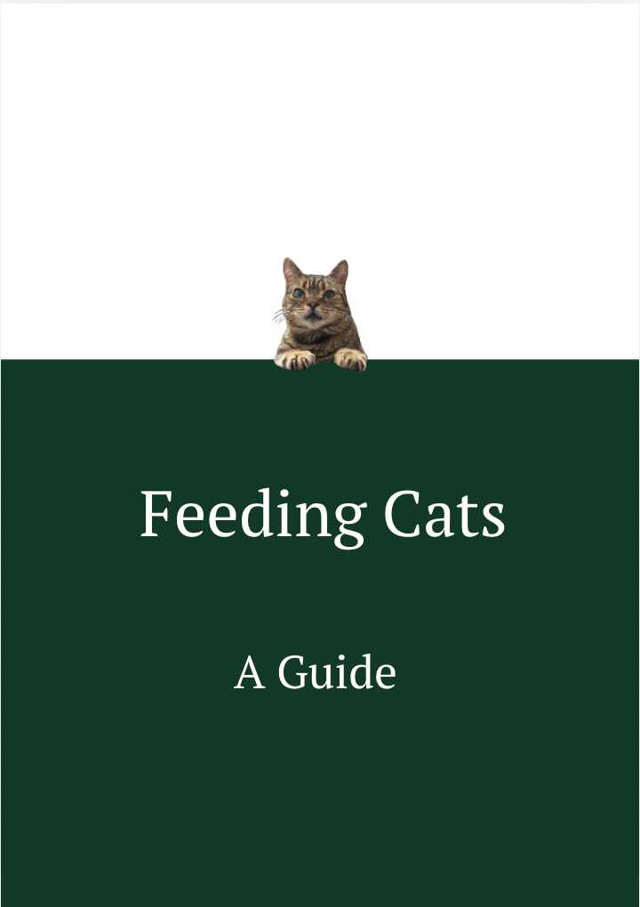 Cat Feeding Guide - How to feed your cat for optimum health