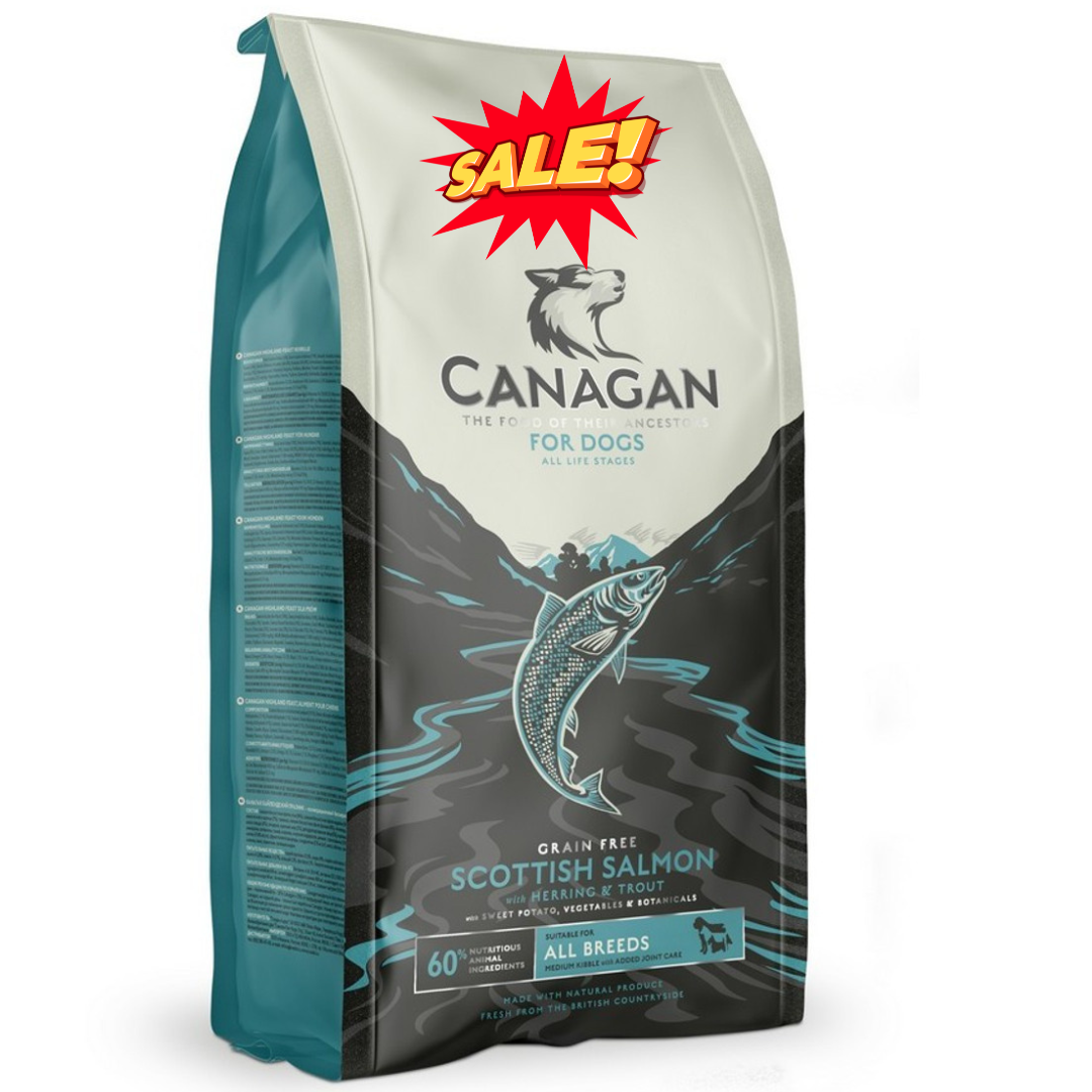 Canagan salmon top dog food 12kg