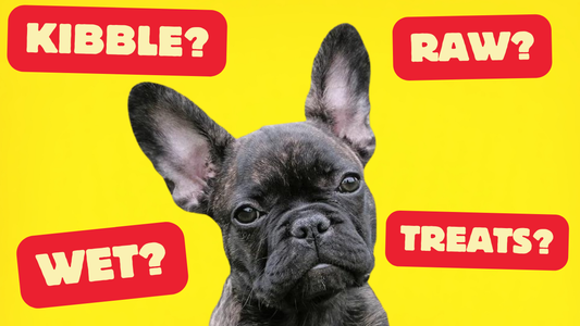 Best Dog Food For French Bulldogs ✅