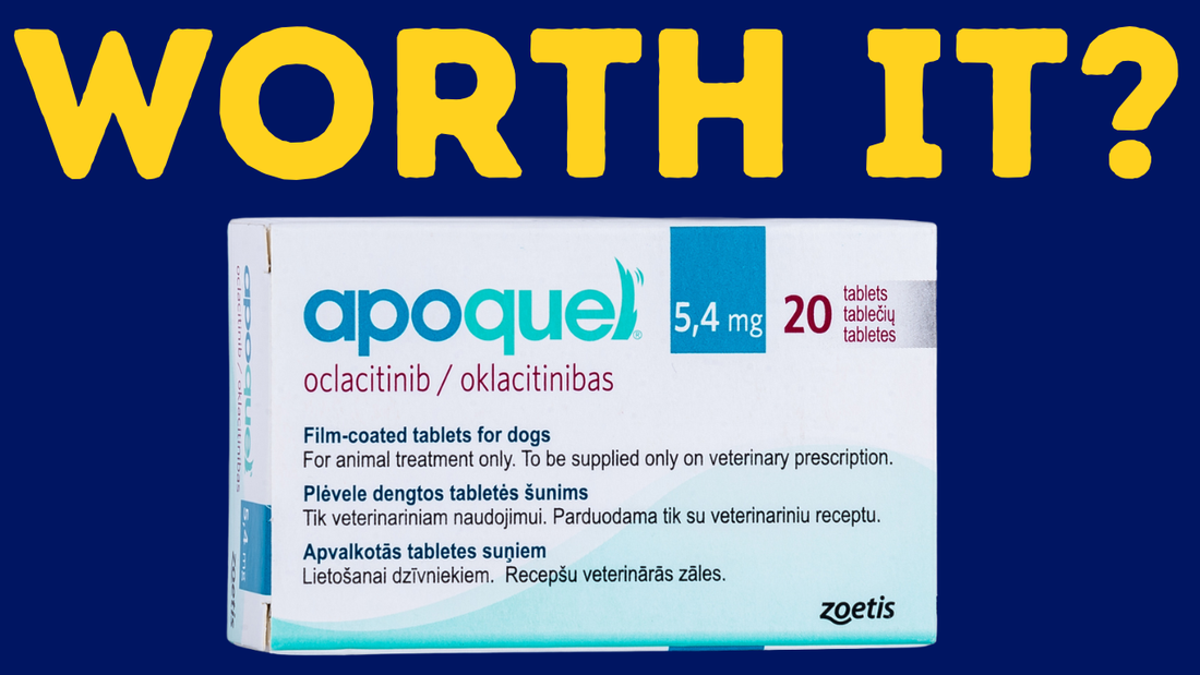 Apoquel Secrets: What The Vets Don't Tell You