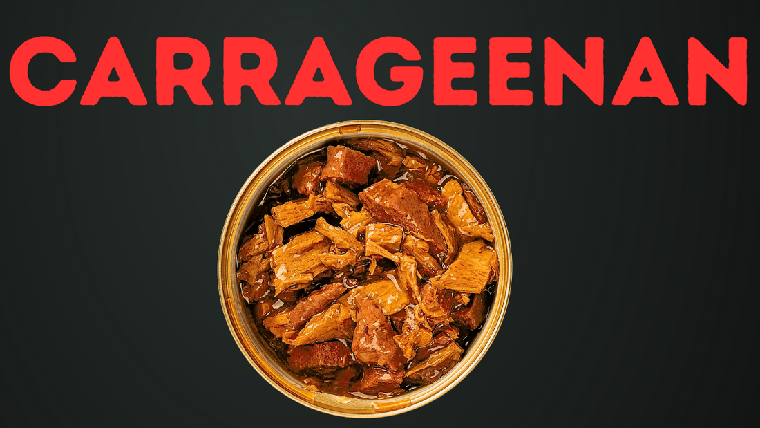 Carrageenan: The Most Dangerous Ingredient in Cat Food