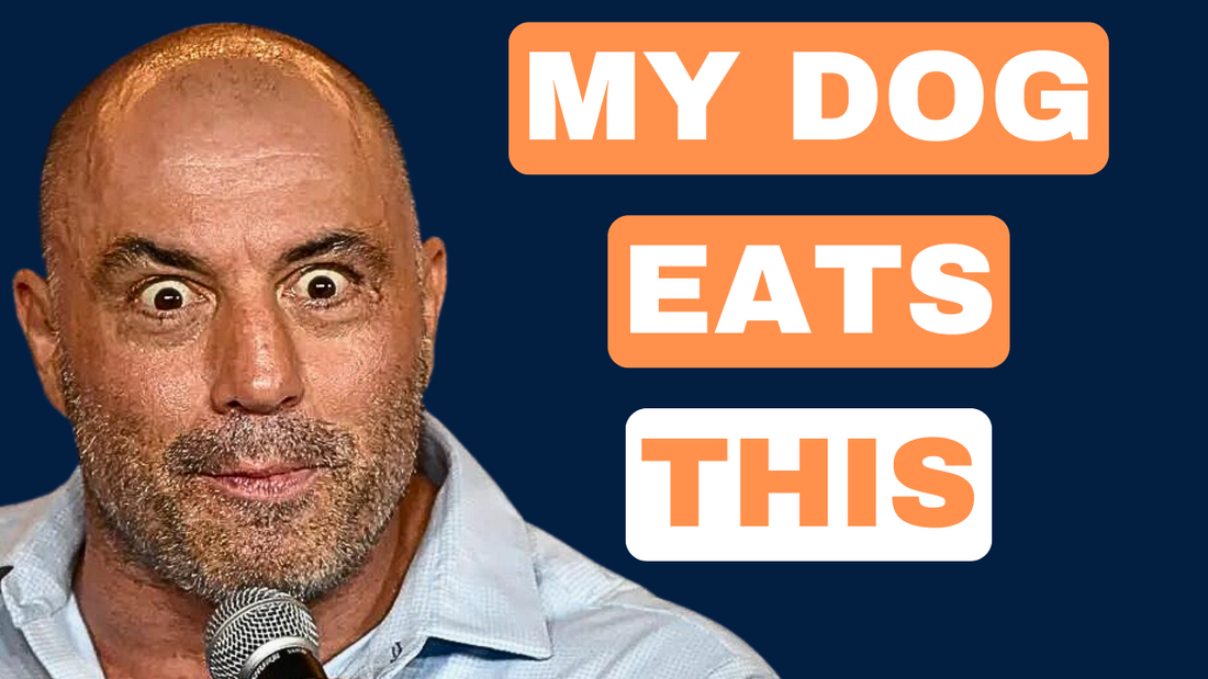 Joe Rogan's Dog Food: An Expert's (HONEST) Take – The Pet Quarter