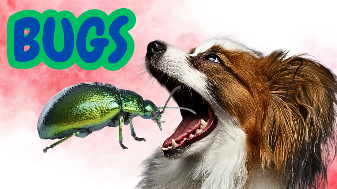 Insect Dog Food For Dogs. Pros & Cons. Truly Hypoallergenic? Read Now.
