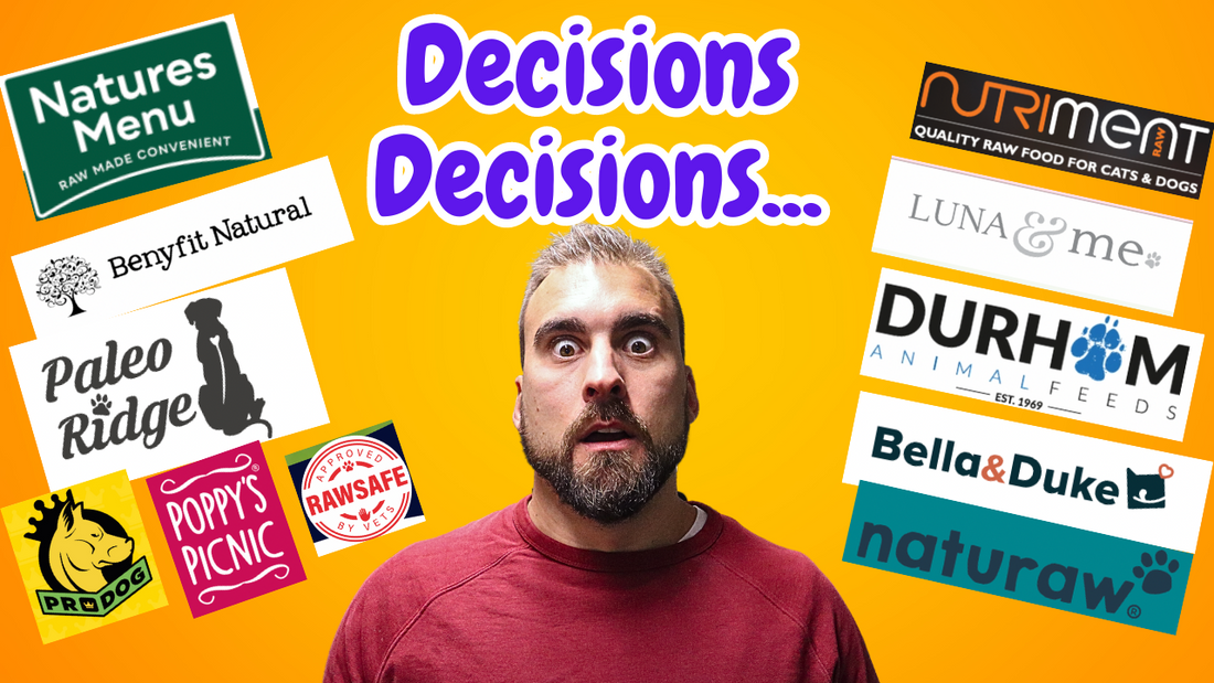 Top Raw Dog Food Brands UK. Which One Is Best The Pet Quarter