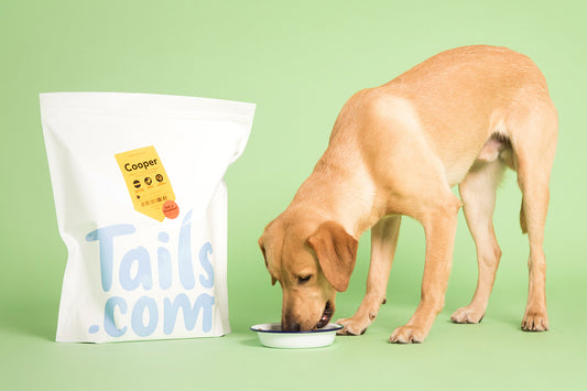 Tails Is A Ripoff - Tails Food Review