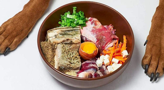 DIY Raw Feeding