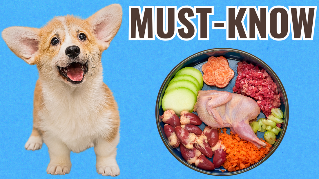 BARF Diet Made Easy: The Simple Guide to Raw Feeding Your Dog