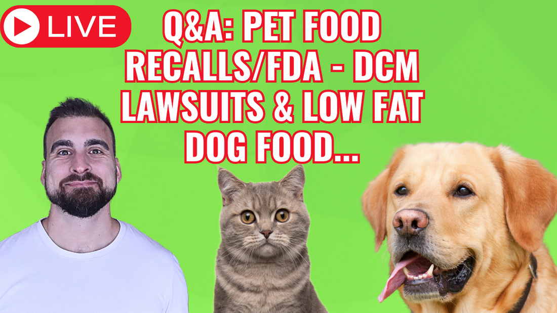 Q&A: Dog Food Recalls, DCM Lawsuit Taste Of The Wild