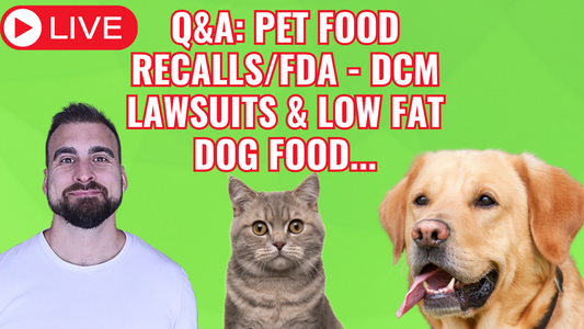 Q&A: Dog Food Recalls, DCM Lawsuit Taste Of The Wild