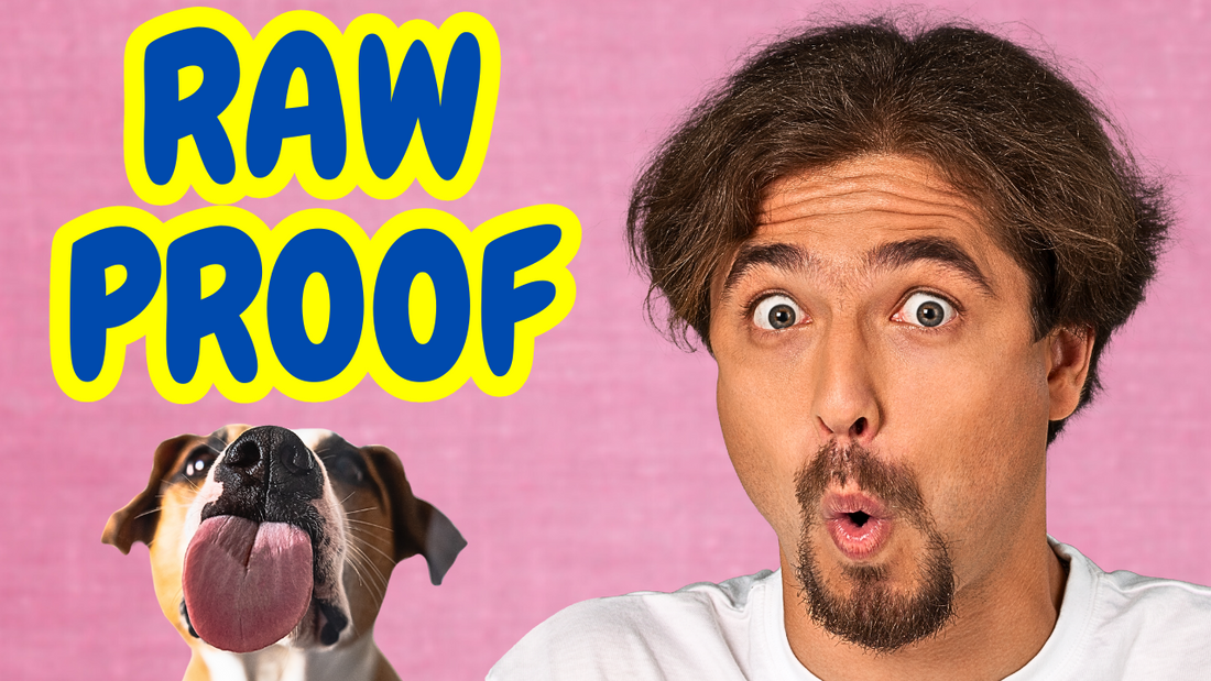 Is Raw Dog Food Safe? - The Answer Might Surprise You – The Pet Quarter