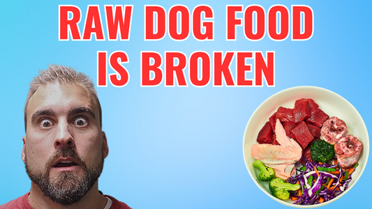 🎪 RAW DOG FOOD IS A CIRCUS 🎪 (And Needs To Change)