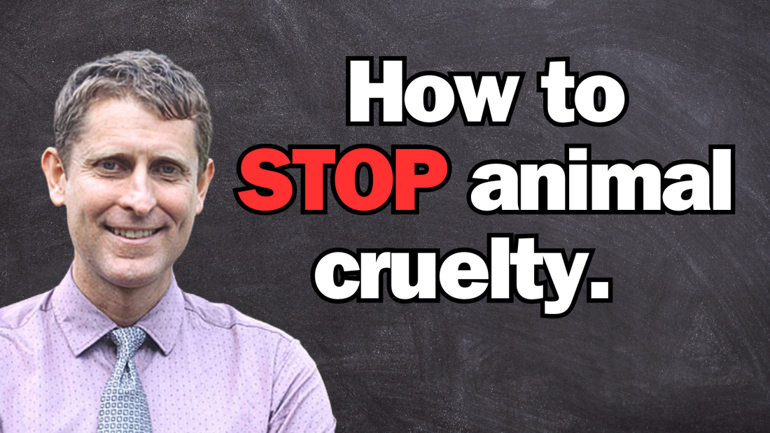 Prof. Andrew Knight- Animal Cruelty & Vegan Pet Food