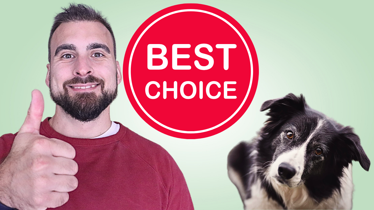 best-dry-dog-food-brands-uk-the-pet-quarter