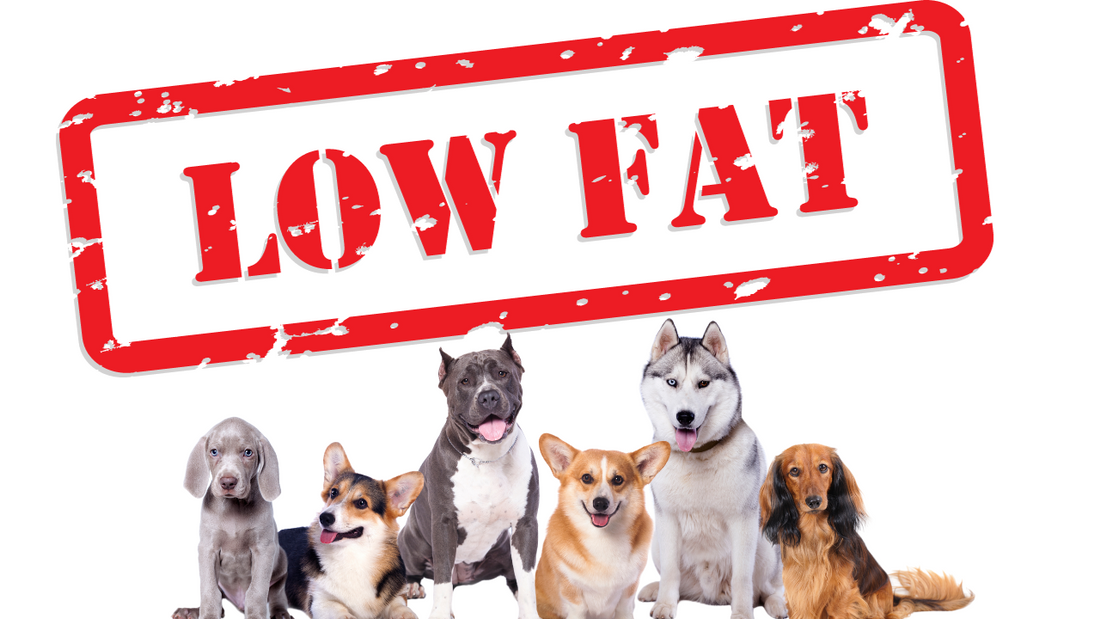 Low Fat Dog Treats. A Comprehensive Guide To Dog Treats With Low Fat.