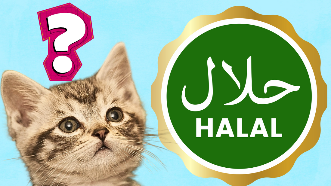A Halal Pet Food Company? Hurayra Halal Pet Food Review
