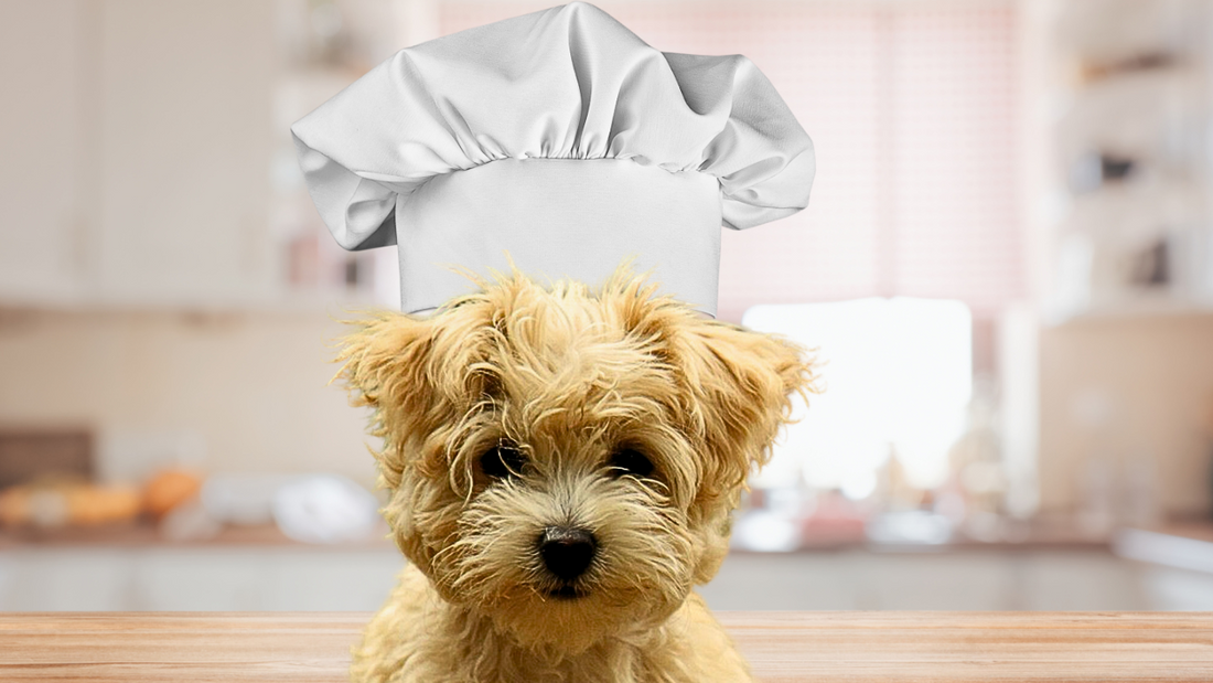 3 Amazing Homemade Dog Food Recipes. DIY Dog Food.