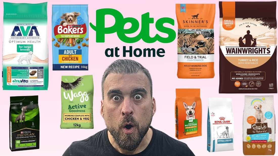 🐶 Ranking Best Dog Foods In Pets At Home - An Expert's Honest Review