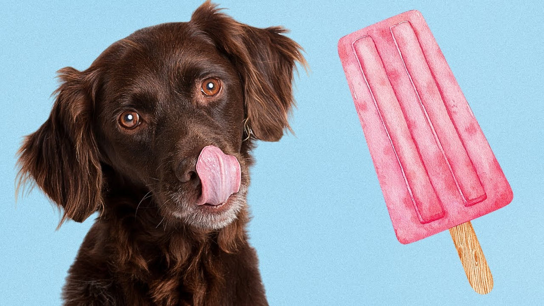 Homemade Ice Cream For Dogs - 3 SIMPLE RECIPES – The Pet Quarter