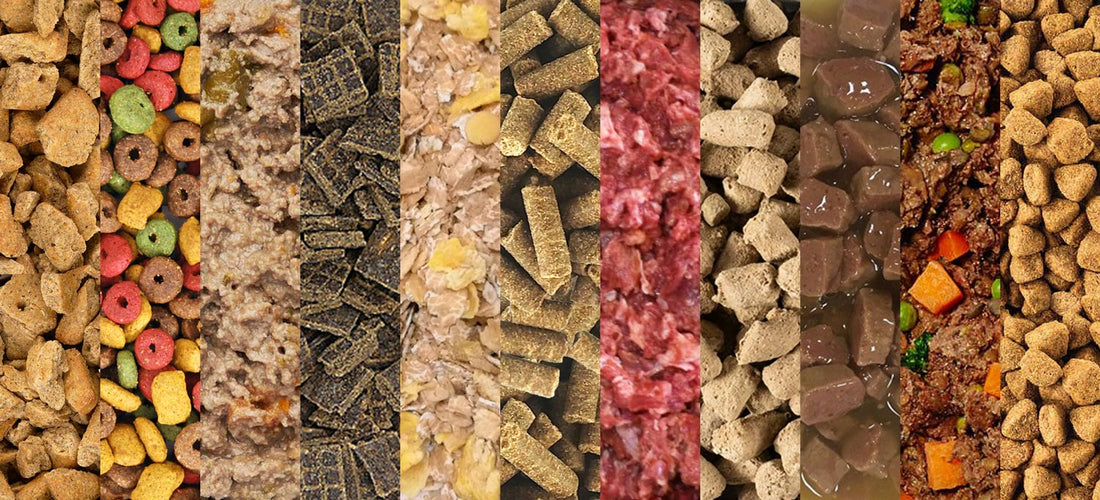TOP 10 Worst Dog Foods Ranked.