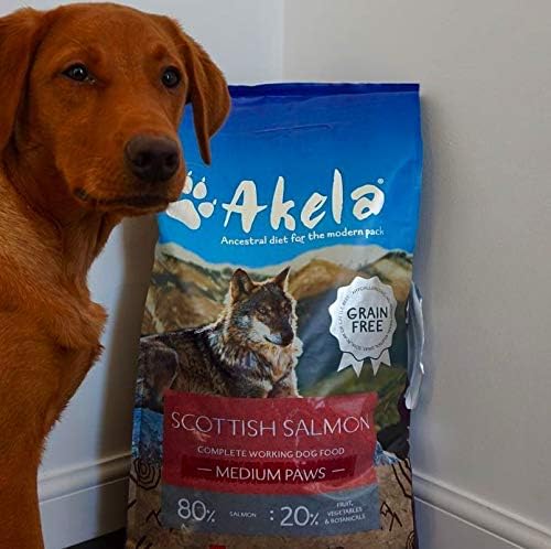 Akela puppy salmon hotsell