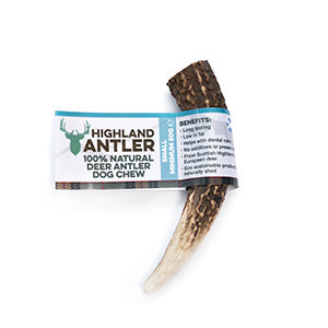 Deer Antlers