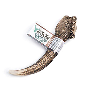 Deer Antlers