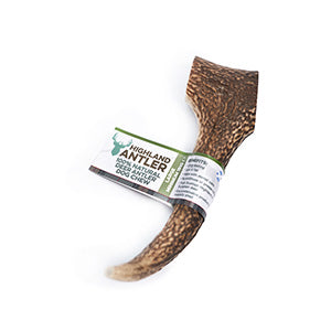 Deer Antlers