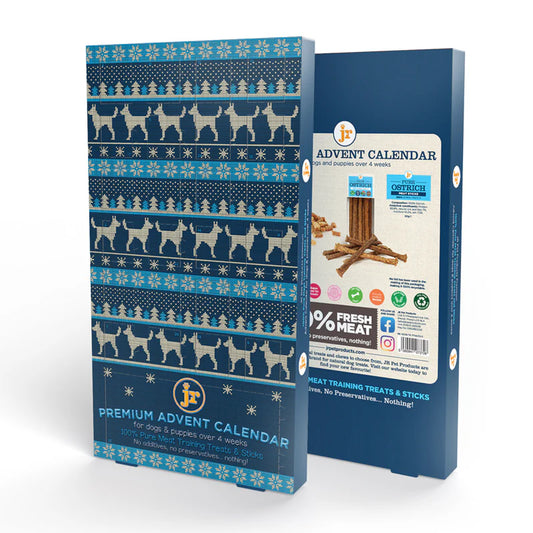 JR Advent Calendar