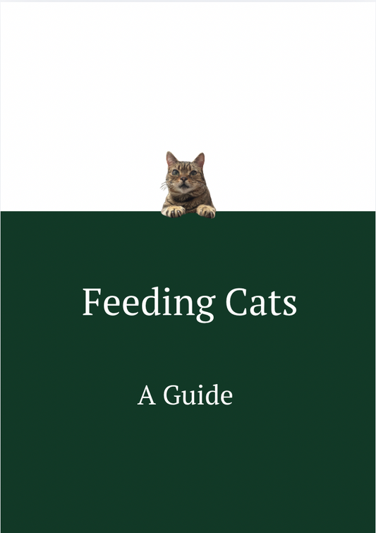 Cat Feeding Guide - How to feed your cat for optimum health