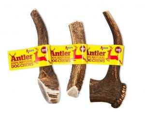 Deer Antlers